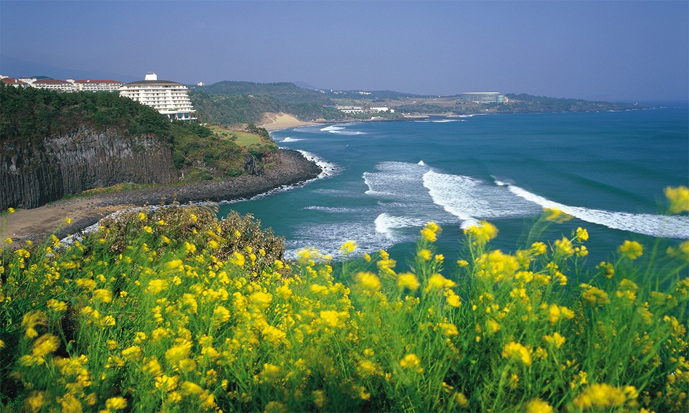 Jeju Island 03